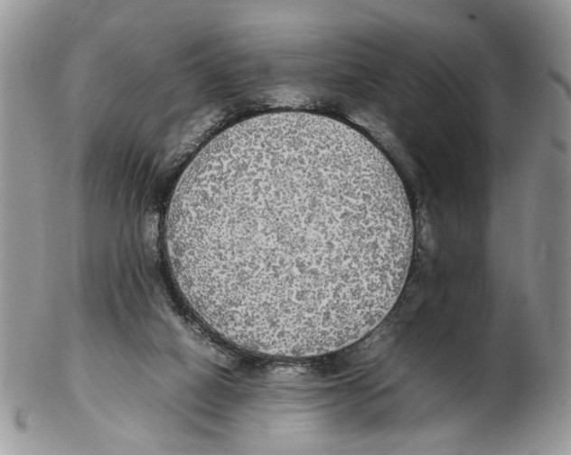X0000102250066200808221402