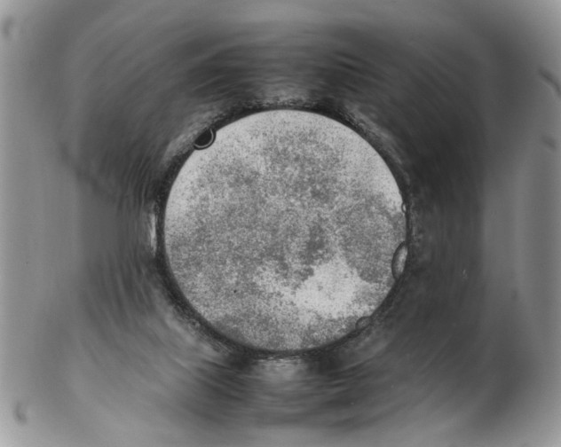 X0000102250067200808221402