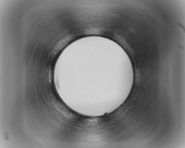 X0000102250068200808221402
