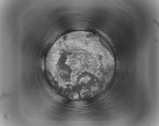 X0000102250069200808221402