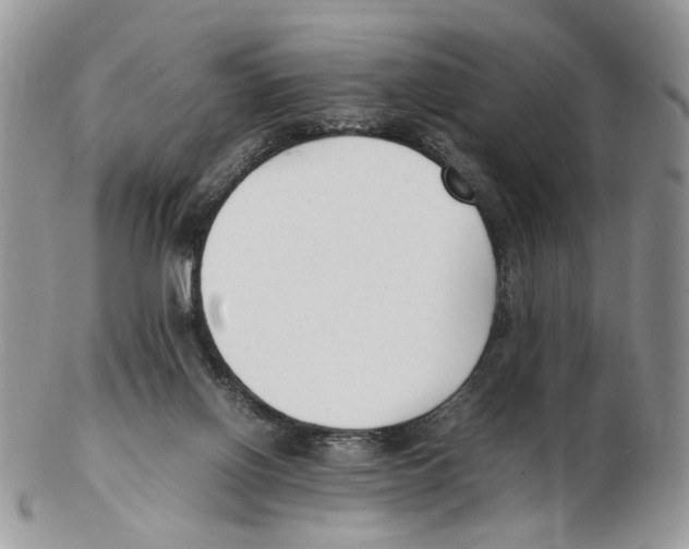 X0000102250070200808221402
