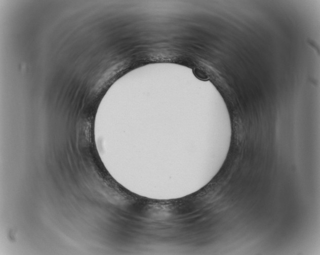 X0000102250071200808221402