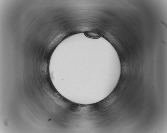 X0000102250072200808221402