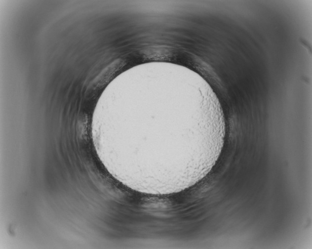 X0000102250073200808221402