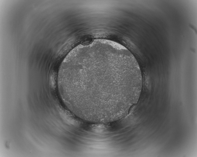 X0000102250074200808221402
