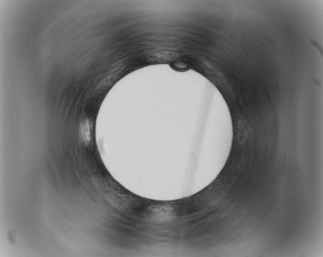X0000102250075200808221402