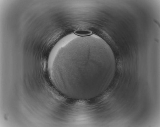 X0000102250076200808221402