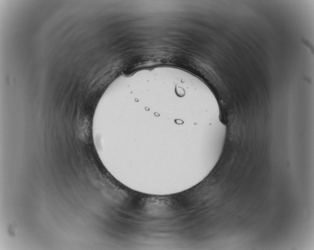 X0000102250077200808221402