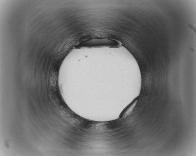 X0000102250078200808221402