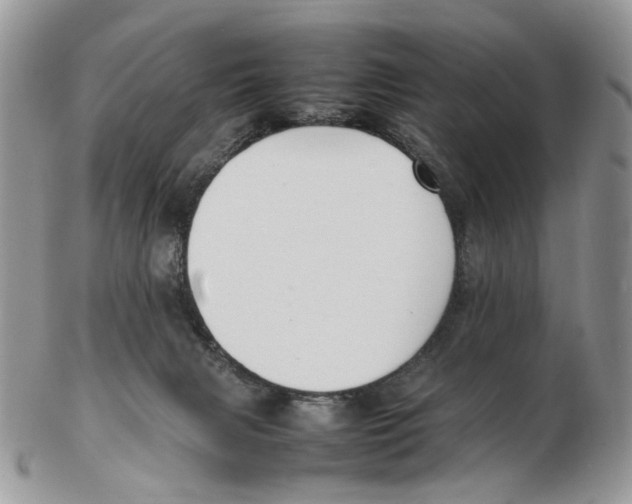 X0000102250079200808221402