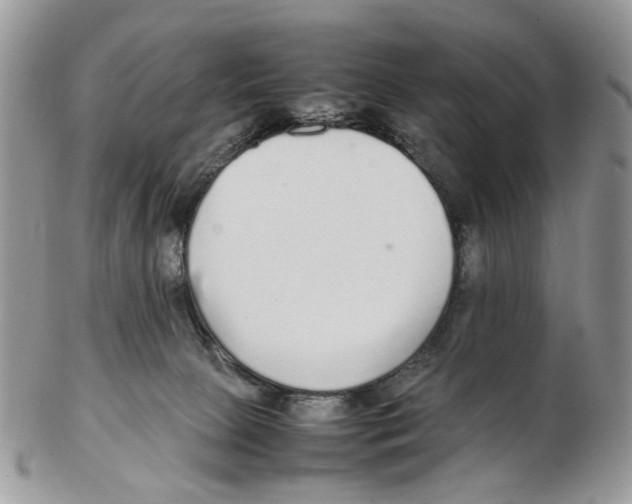X0000102250081200808221402