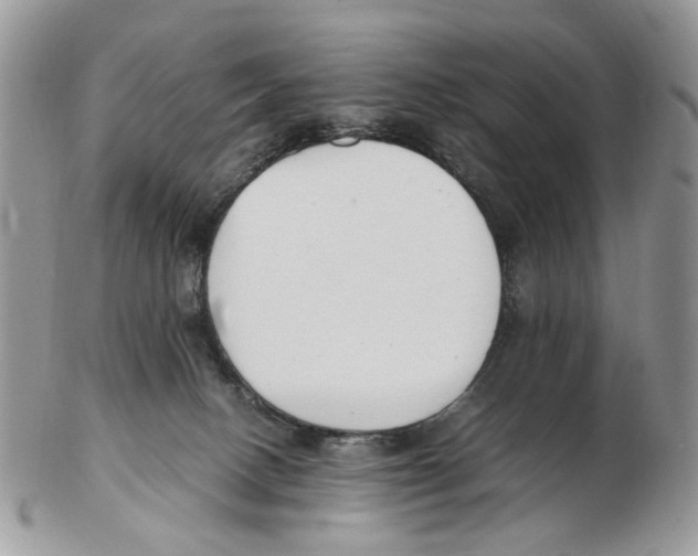 X0000102250082200808221402