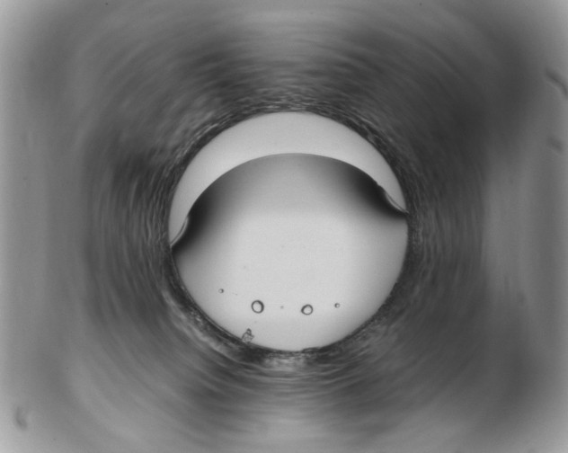 X0000102250084200808221402