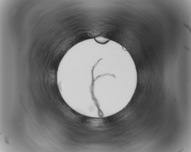 X0000102250085200808221402