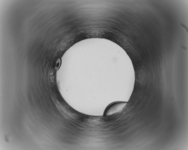 X0000102250086200808221402
