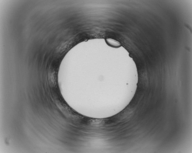 X0000102250088200808221402