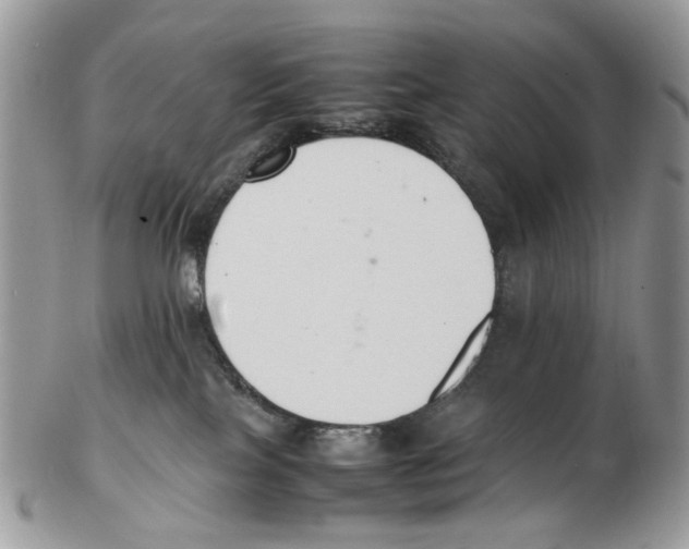 X0000102250089200808221402