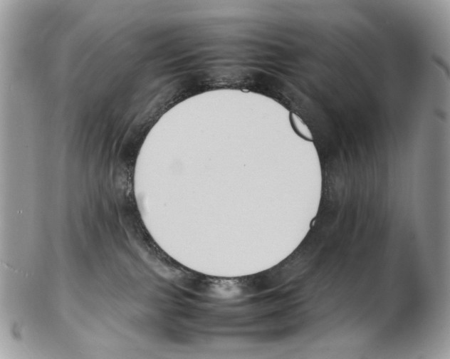 X0000102250091200808221402