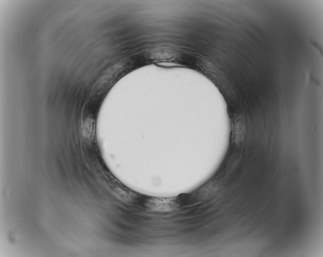 X0000102250093200808221402