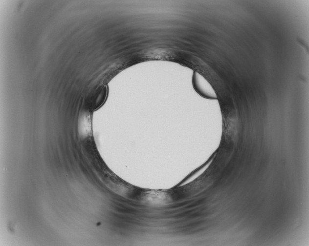 X0000102250095200808221402