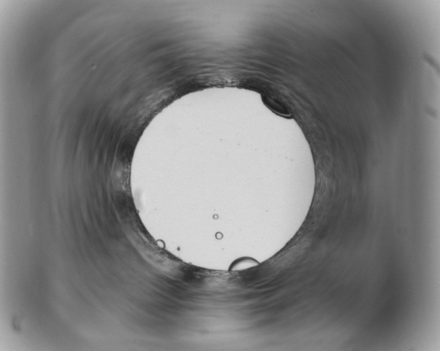 X0000102250096200808221402