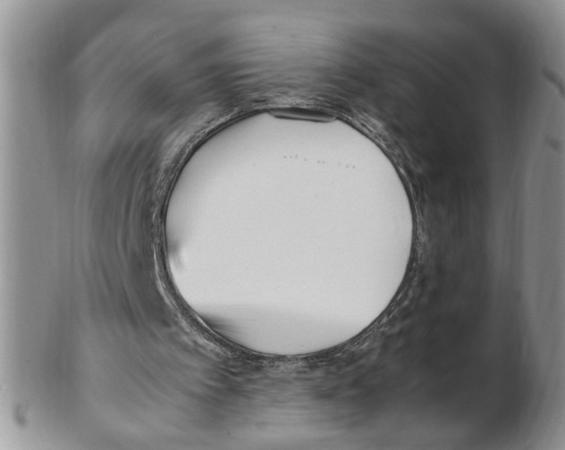 X0000102250097200808221402