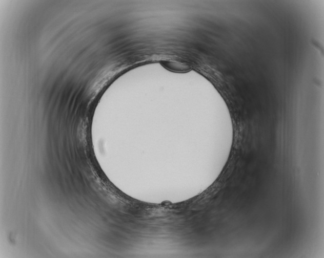 X0000102250098200808221402