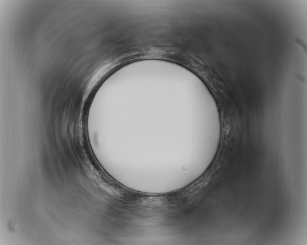 X0000102250102200808221402