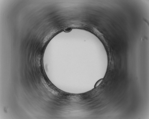 X0000102250106200808221401