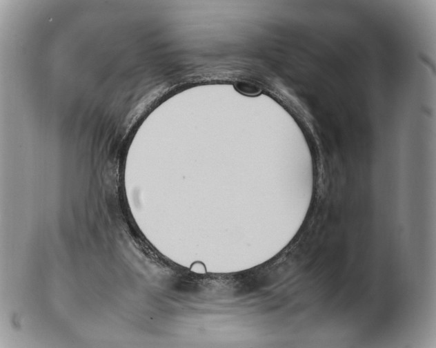 X0000102250107200808221401