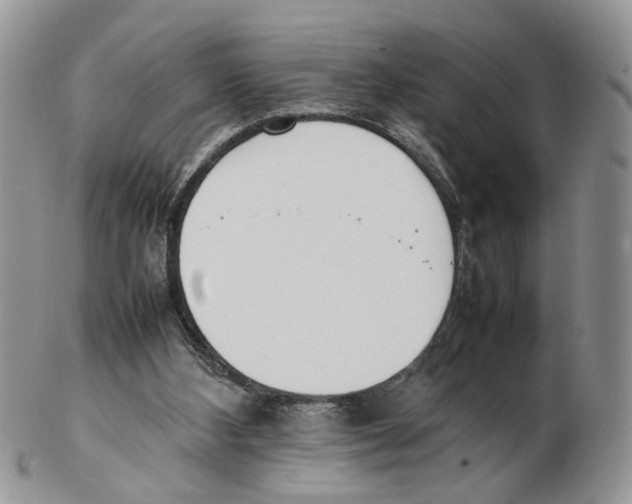 X0000102250108200808221401