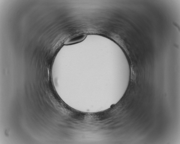 X0000102250109200808221401