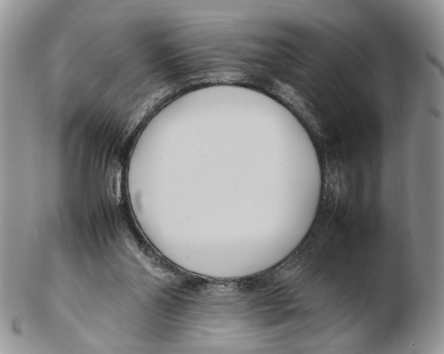 X0000102250110200808221401
