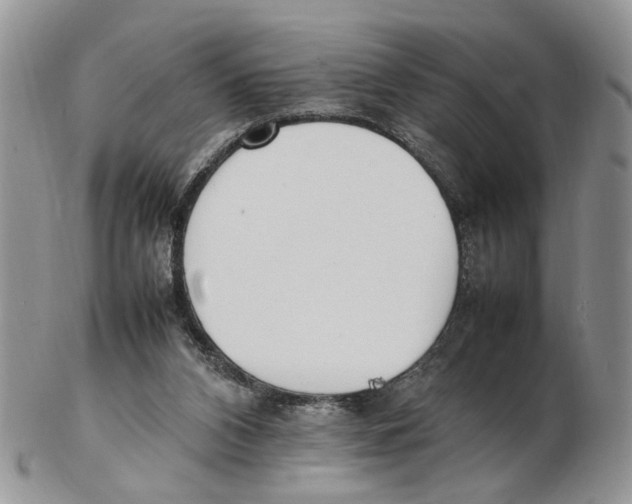 X0000102250112200808221401
