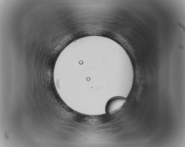 X0000102250113200808221401