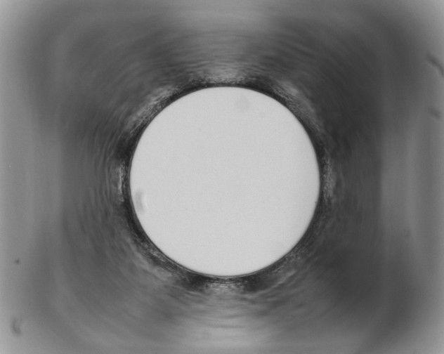 X0000102250115200808221401