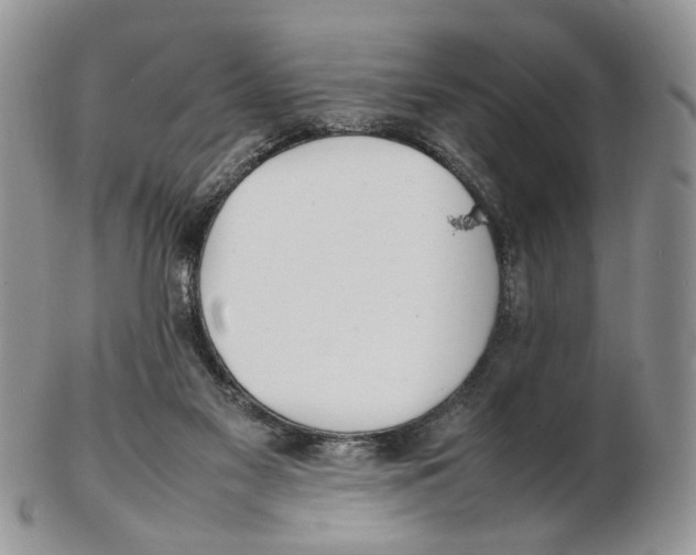 X0000102250117200808221401