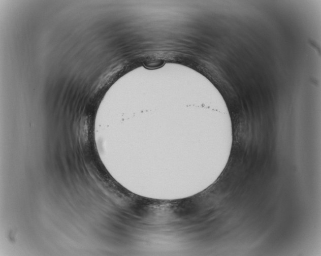 X0000102250120200808221401