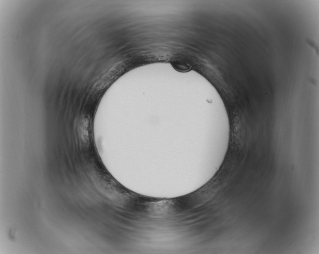 X0000102250122200808221401