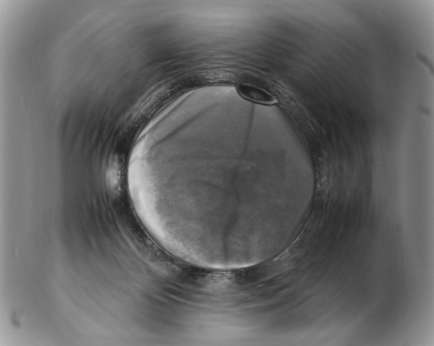 X0000102250124200808221401