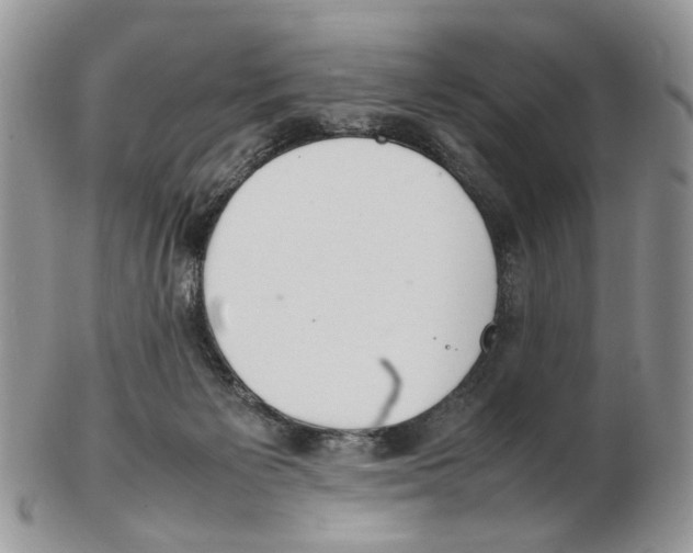 X0000102250125200808221401