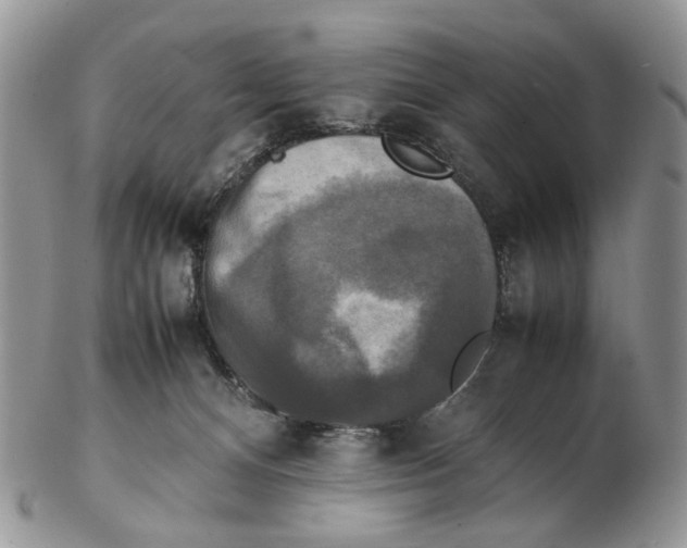 X0000102250128200808221401