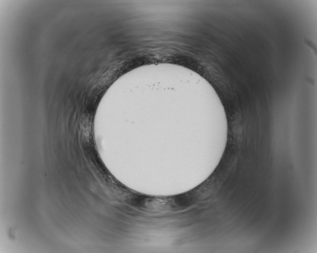 X0000102250129200808221401