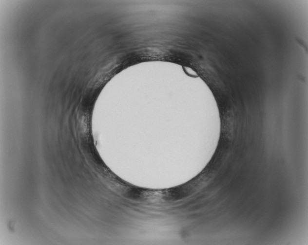 X0000102250131200808221401
