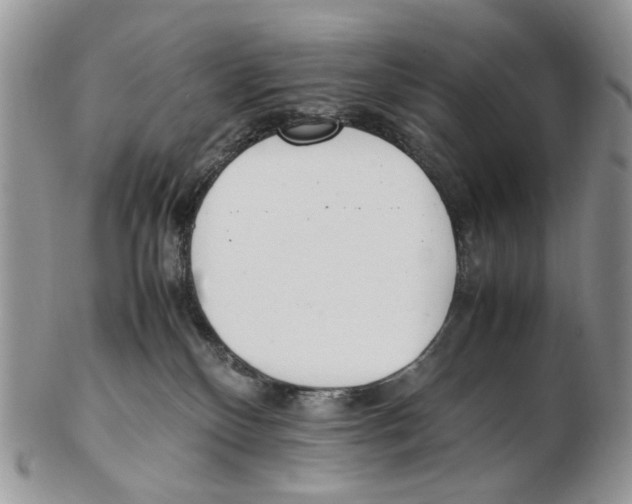 X0000102250136200808221401