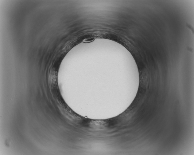 X0000102250137200808221401