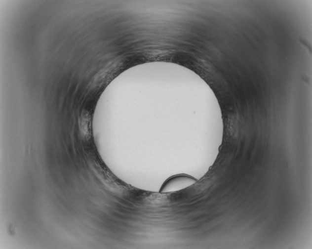 X0000102250138200808221401