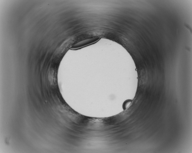 X0000102250140200808221401