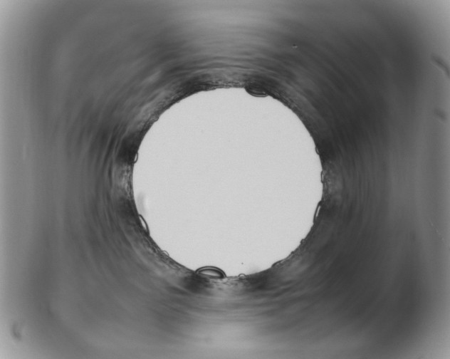 X0000102250141200808221401