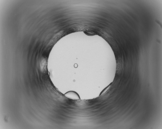 X0000102250142200808221401